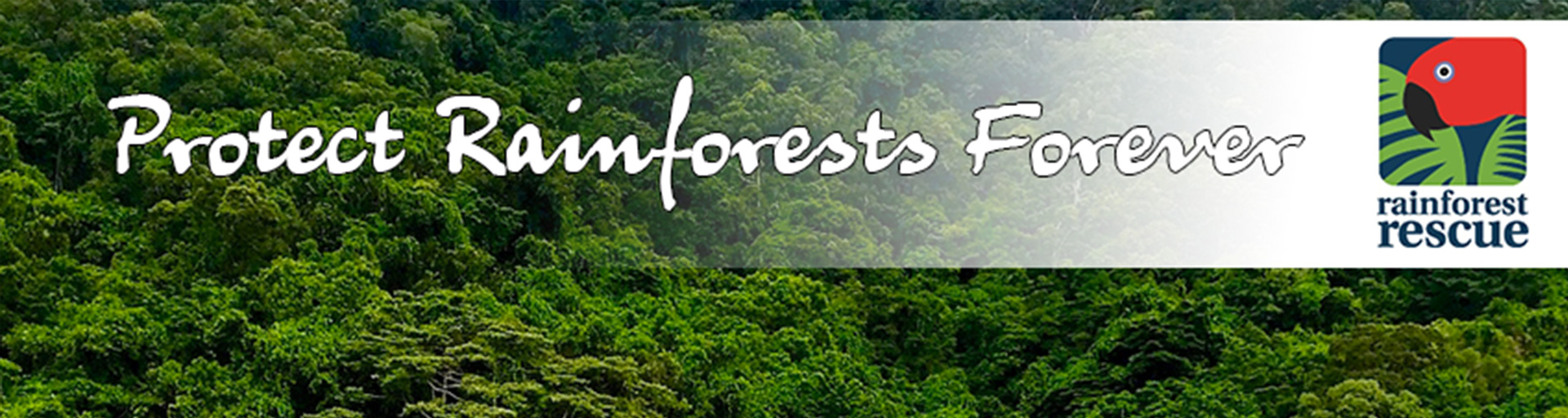 Rainforest Rescue Home